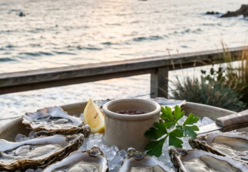 ​Saveurs du Large : L’incontournable pause huîtres et vin blanc au mouillage