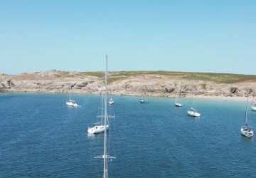 Stade Nautique : Vivez les plus belles régates au cœur de l'action