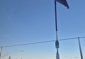 Morsure à la ligne : L'adrénaline de la pêche en mer