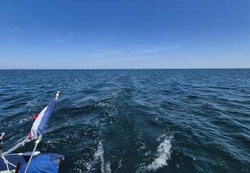 Sortie en mer pour vos événements !