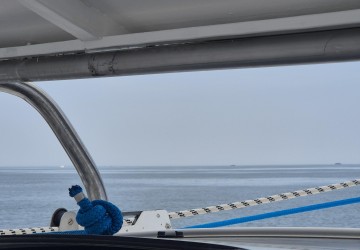 Toutes Générations Parées : Créez des souvenirs de famille uniques en mer