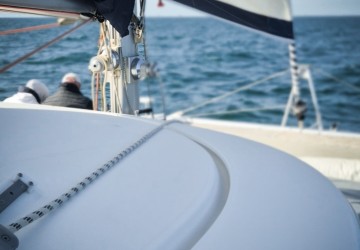 Rencontres sauvages : Quand la nature nous offre son spectacle