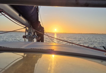 Plus qu'une Coque : La Technologie au Service de votre Liberté