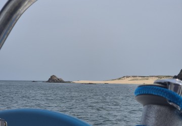 Sereins face aux flots : La mer accessible à tous, même aux plus hésitants