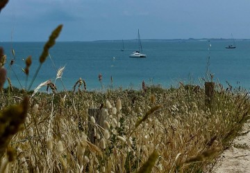 Île de Houat