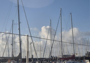 L'Esprit Slow-Sailing : Redécouvrir la glisse pure et le respect de l'océan