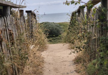Croisières d'Exception en Bretagne : Embarquez avec Breizhile croisière