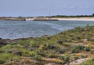 Sortie en mer en catamaran