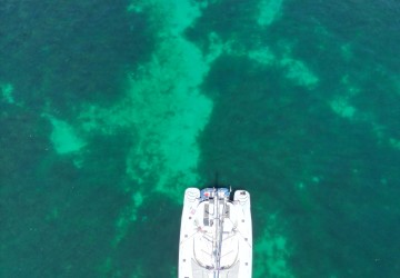 Bien Plus qu'une Croisière : Une Expérience Authentique