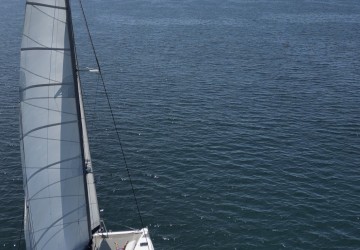 Des Croisières sur Mesure au Cœur des Plus Beaux Paysages