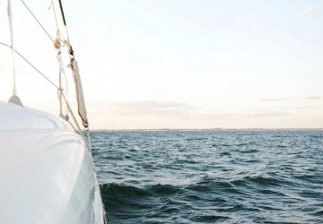Écotourisme en Mer : Observer et préserver la Baie de Quiberon